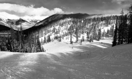 Picture of QA Ski & Snowboard Rentals - Alterra Demo